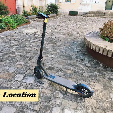 Le Cocon Palois Appartement Pau